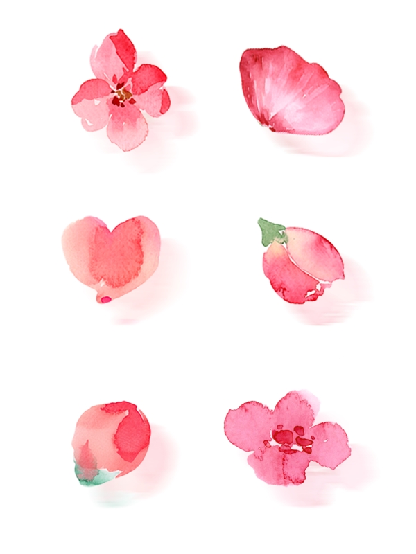 花瓣