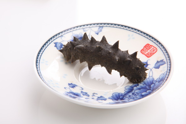 海參圖片