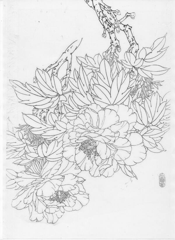 工筆白描圖片