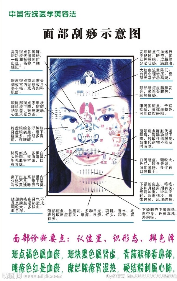 面部刮痧示意圖圖片
