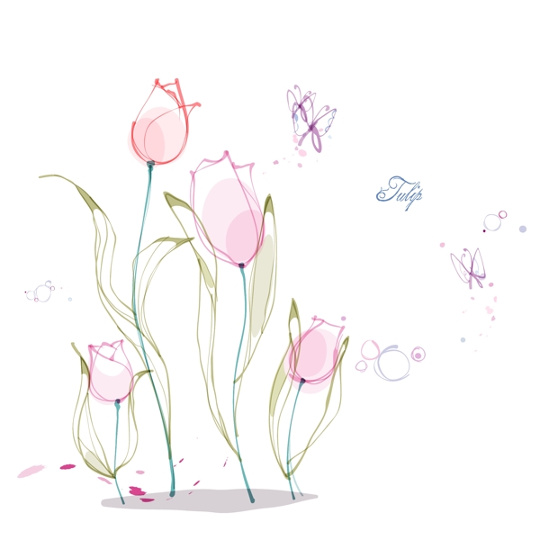 手绘矢量郁金香线条花朵