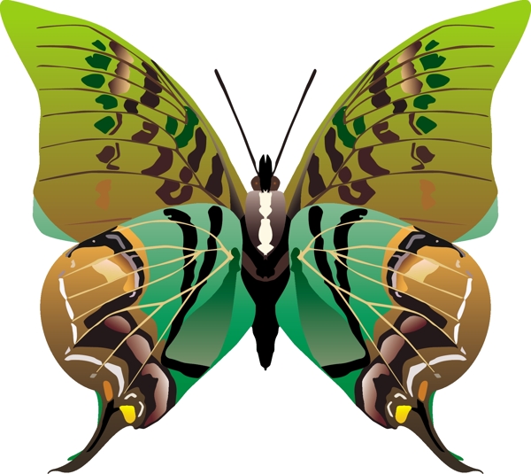 印花矢量图动物蝴蝶色彩五彩斑斓免费素材