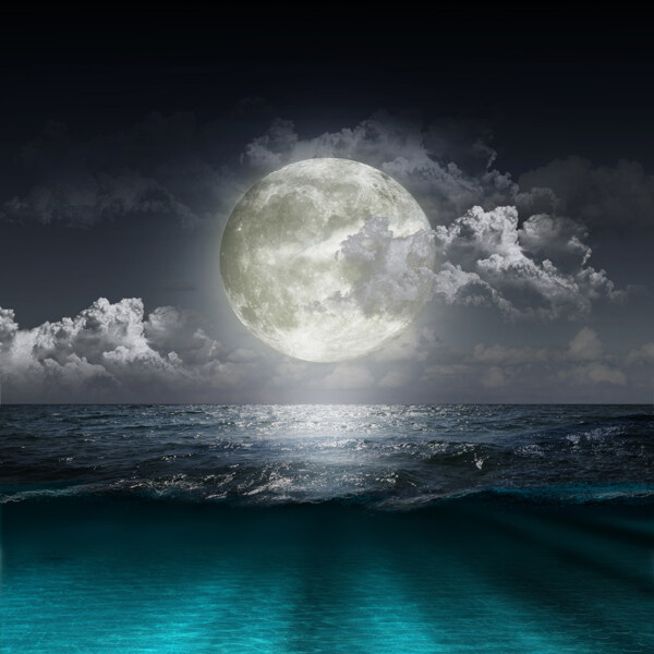 月光下的大海图片