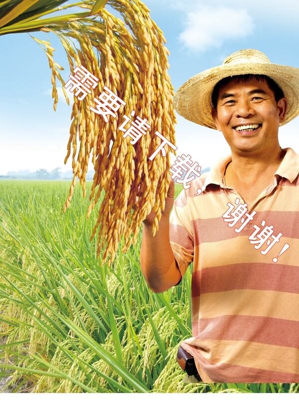 水稻農(nóng)民圖片