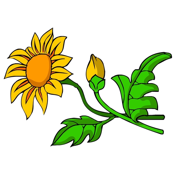 花卉古典插畫(huà)