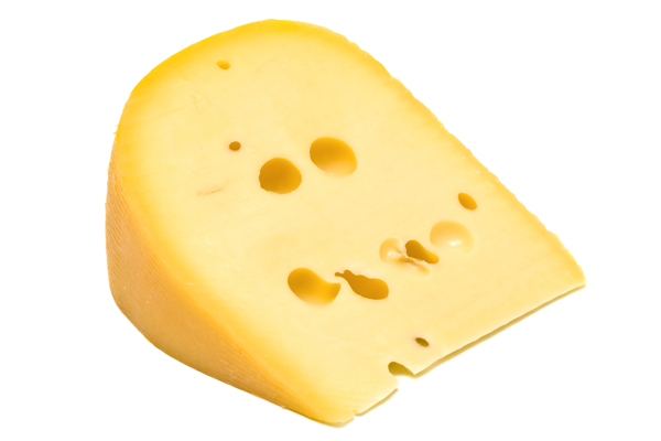 奶酪12图片