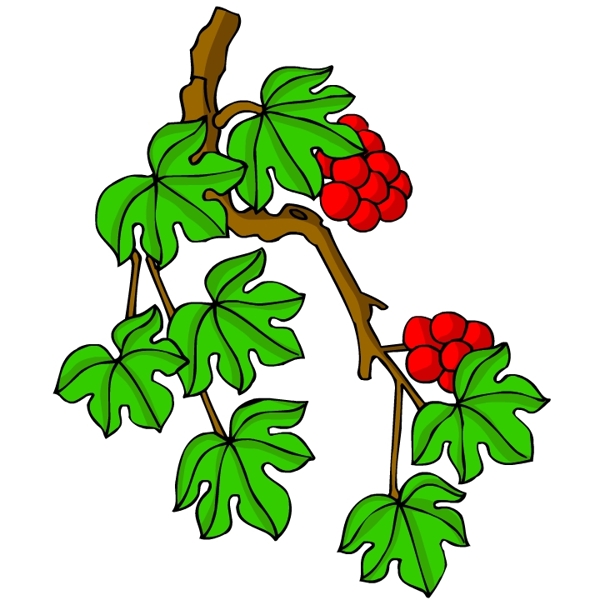 花卉古典插畫