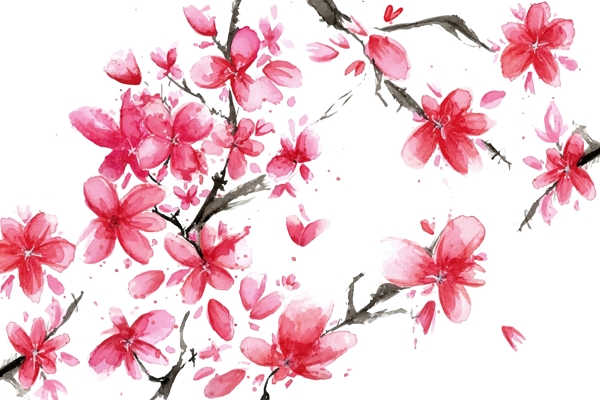 手绘水彩樱花背景