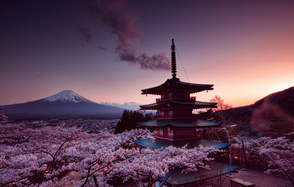 日本富士山樱花塔jpg摄