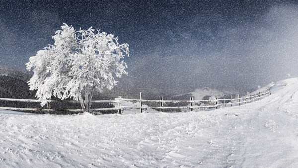 冬季原野大雪纷飞雪景图片