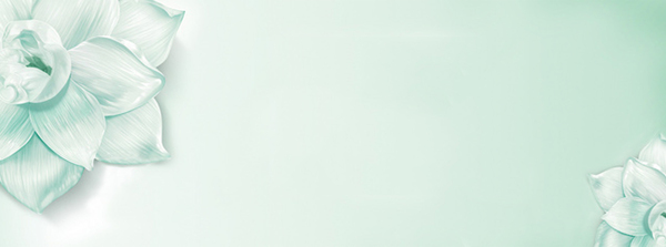 美麗的banner