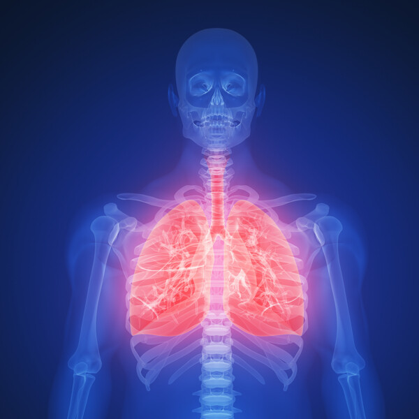 人体肺部X光图片