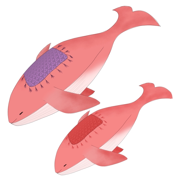 卡通清新粉色鲸鱼透明素材