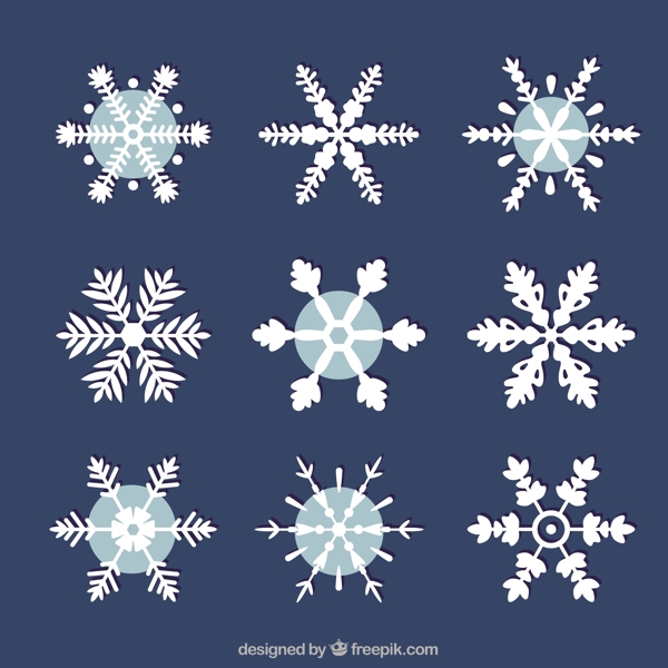 白色雪花品種