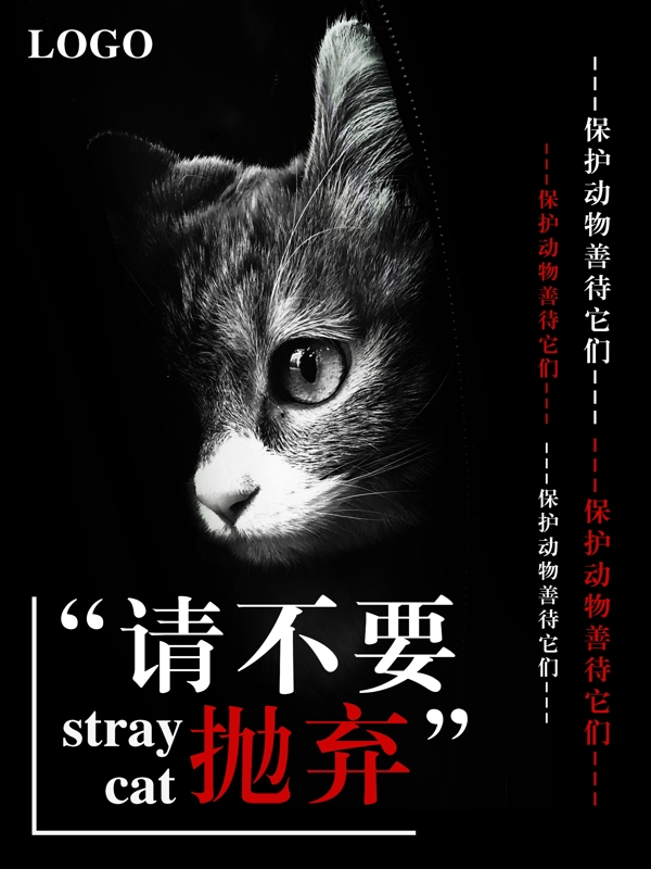 简约流浪猫保护动物海报
