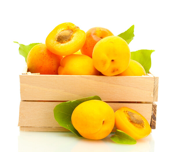 黄杏果图片