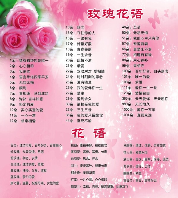 玫瑰花語圖片
