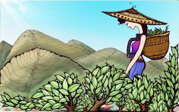 采茶女圖片