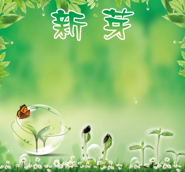 淡綠色背景模板圖片