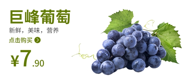 葡萄葡萄海报水果海报图片