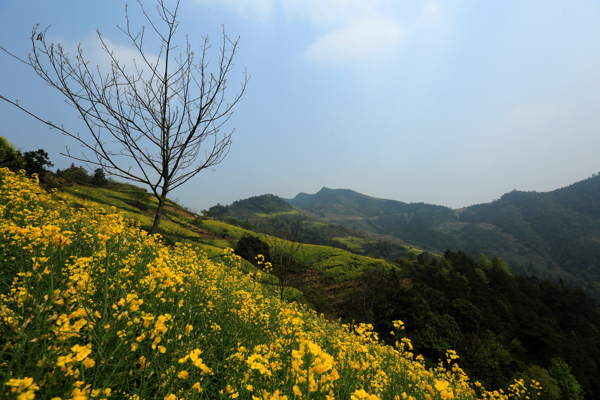 石潭村圖片