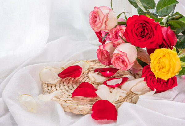 浪漫玫瑰花束拍摄素材图片