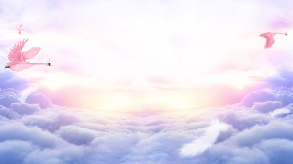 清新粉色花朵云朵淘寶全屏banner背景