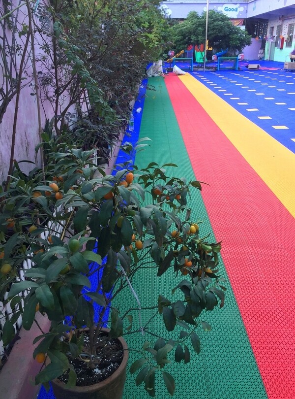广东培幼幼儿园园景
