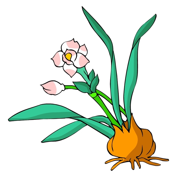 花卉古典插畫(huà)