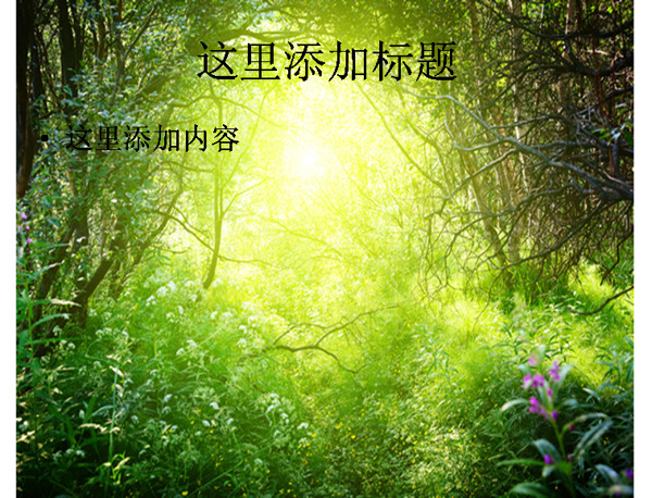 綠光森林高清