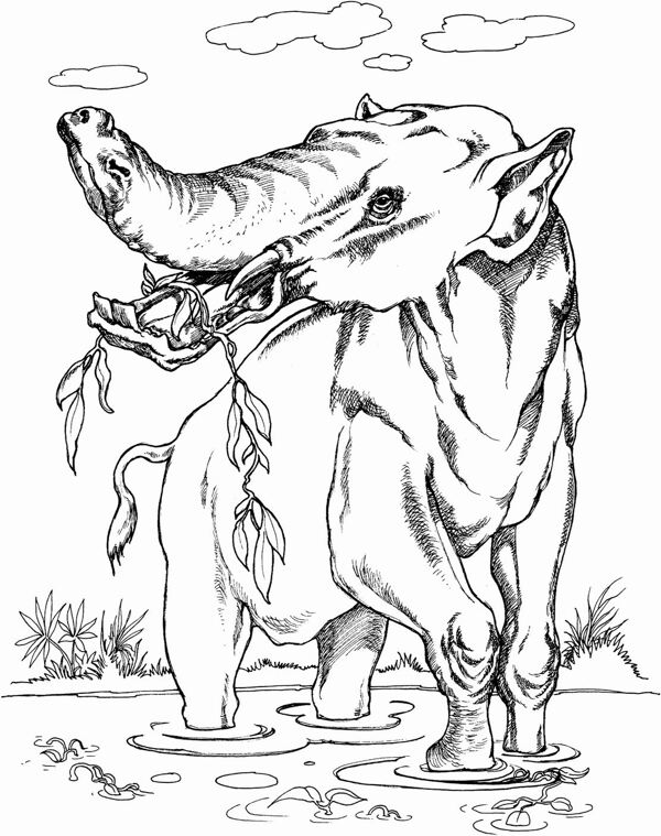 手繪動物畫動物素描