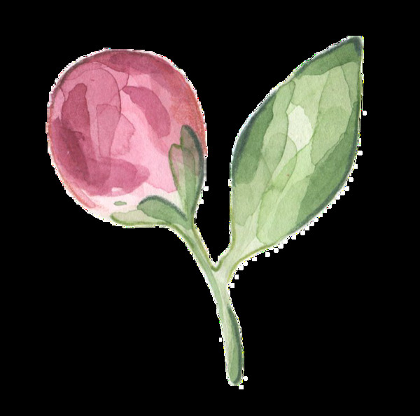 粉色小花骨朵透明装饰图案