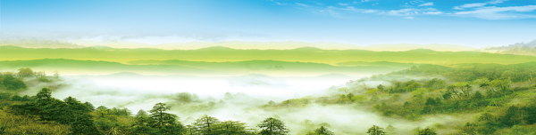 企業(yè)文化背景