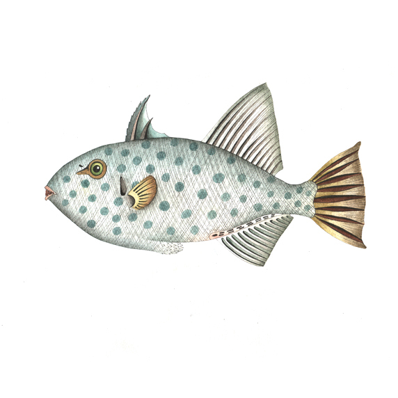 位圖插畫(huà)動(dòng)物插畫(huà)藝術(shù)效果手繪免費(fèi)素材