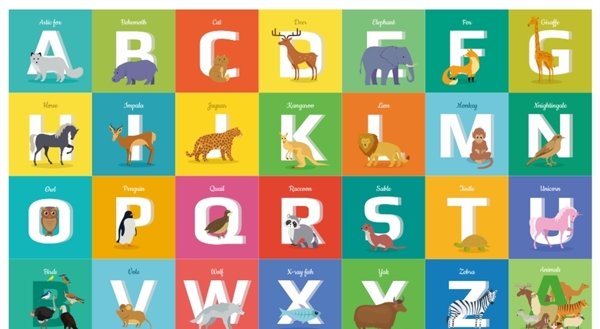 26个字母动物单词