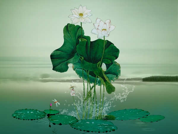 蓮花合成