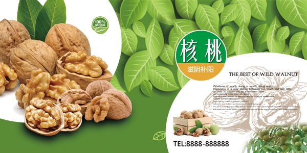 海報(bào)核桃