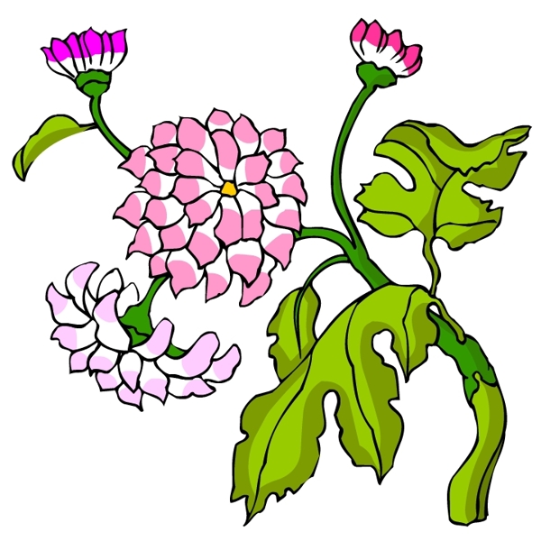 花卉古典插畫