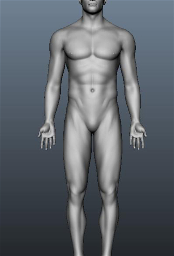 3D男性人体游戏模型