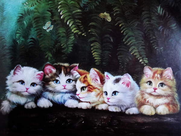 一群小猫图片