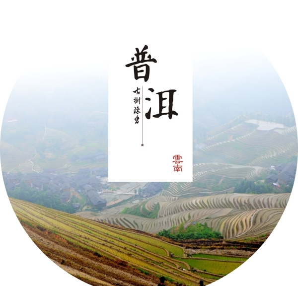 普洱茶包裝
