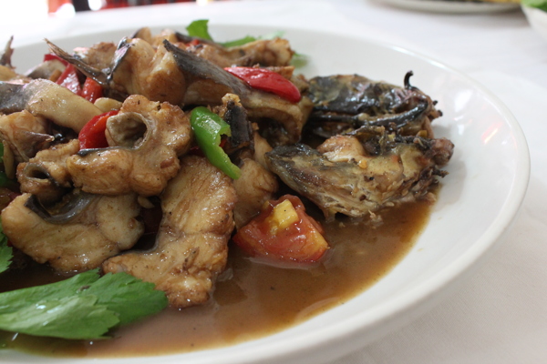 毛骨魚(yú)圖片