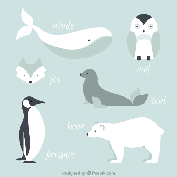 北极动物集合