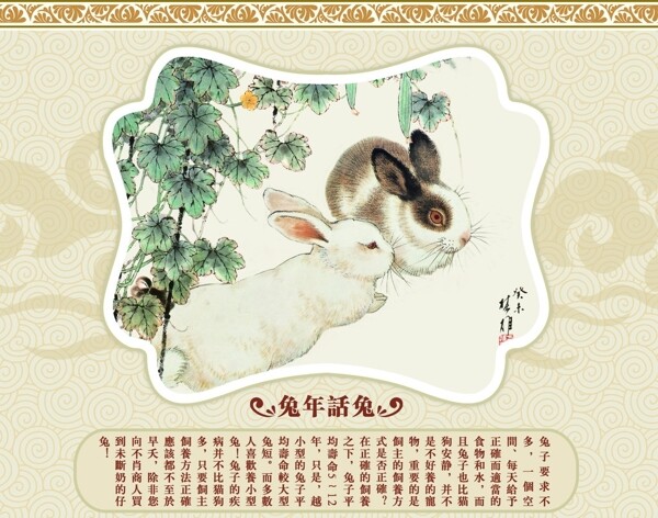兔子兔年话兔