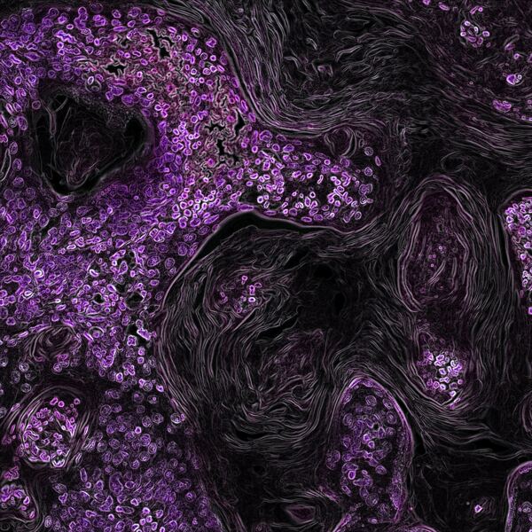 紫色绘画抽象背景