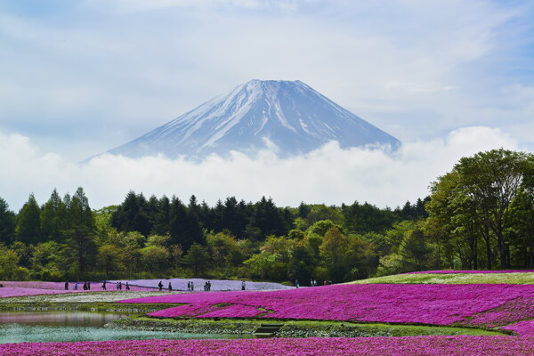 日本富士山風(fēng)景圖片