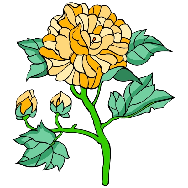 花卉古典插畫