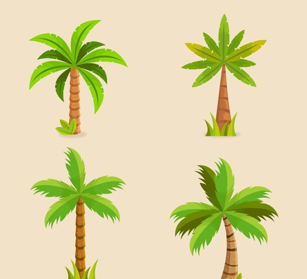 矢量椰子树素材