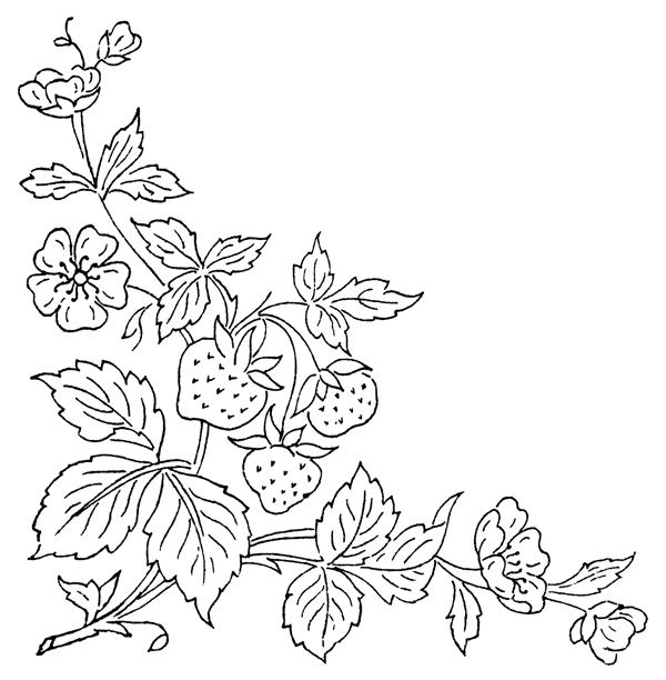 圓形花紋矢量素材