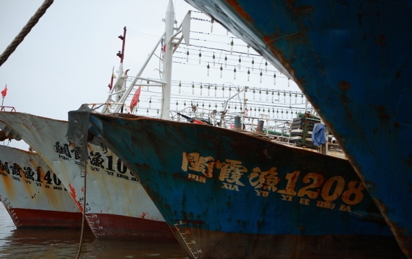霞浦遠洋船只圖片